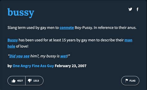 A brief history of the word 'bussy' .